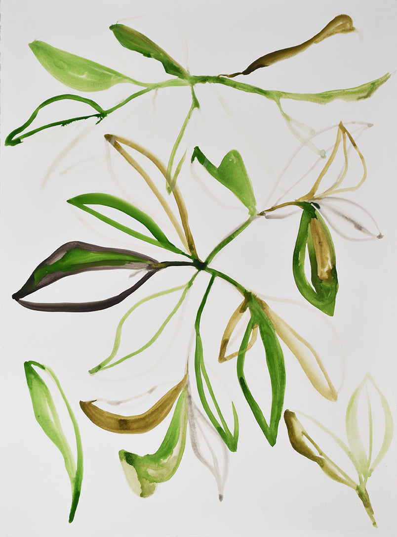 painting of leaves on a white background