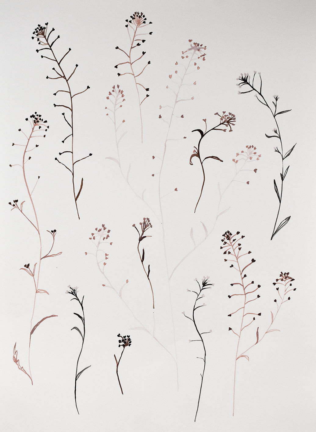 Artistic painting of thin plant stems with small flowers on a light background