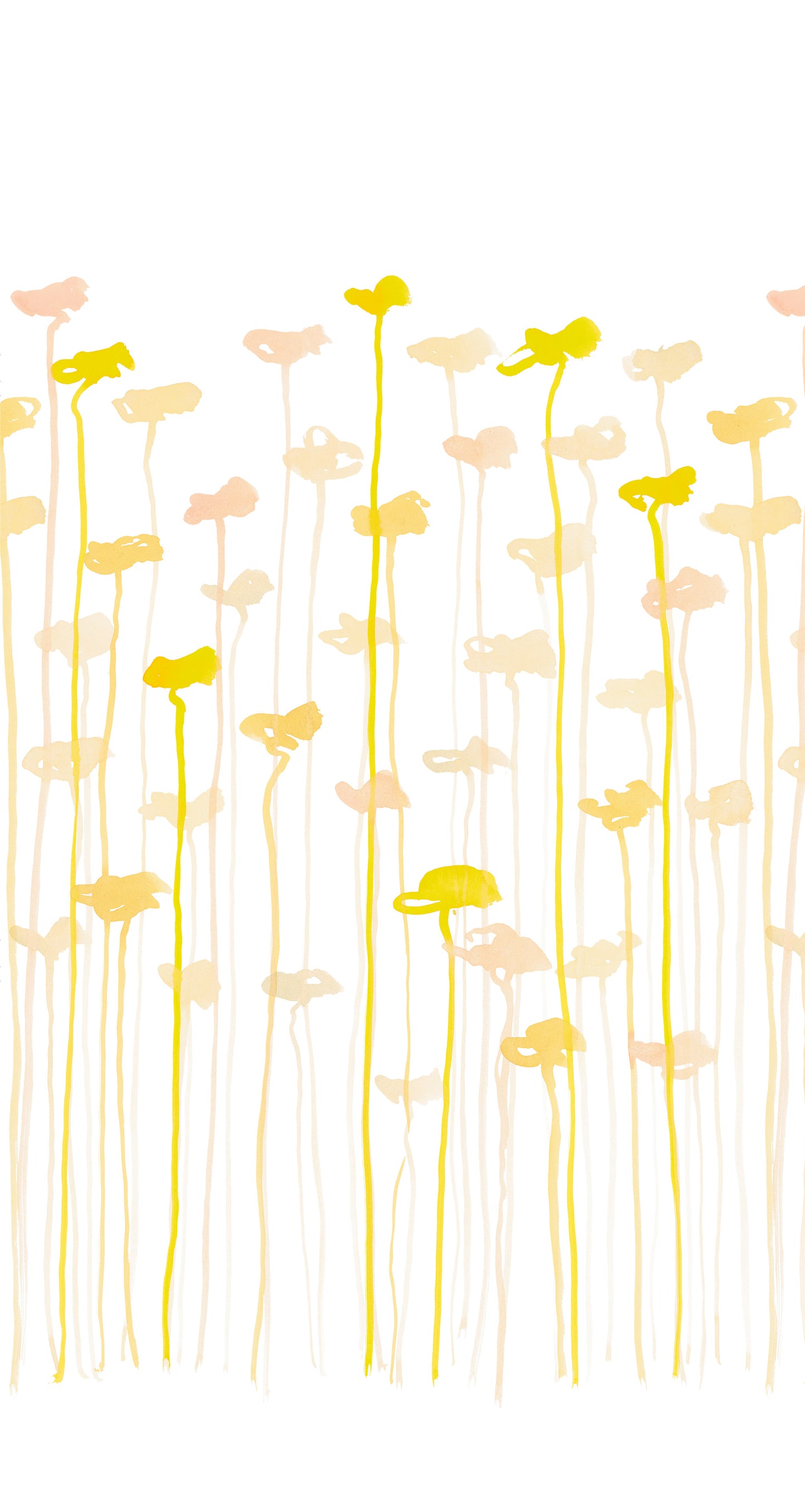 Yellow flowers and stems on a white background