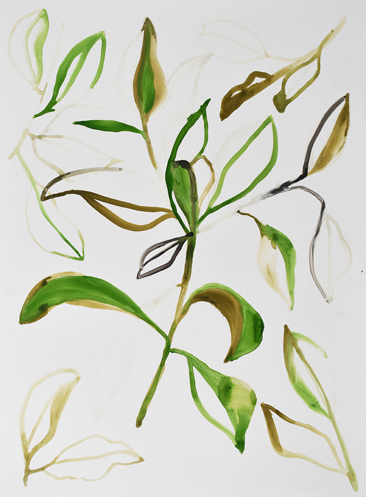 painting of green leaves on a white background