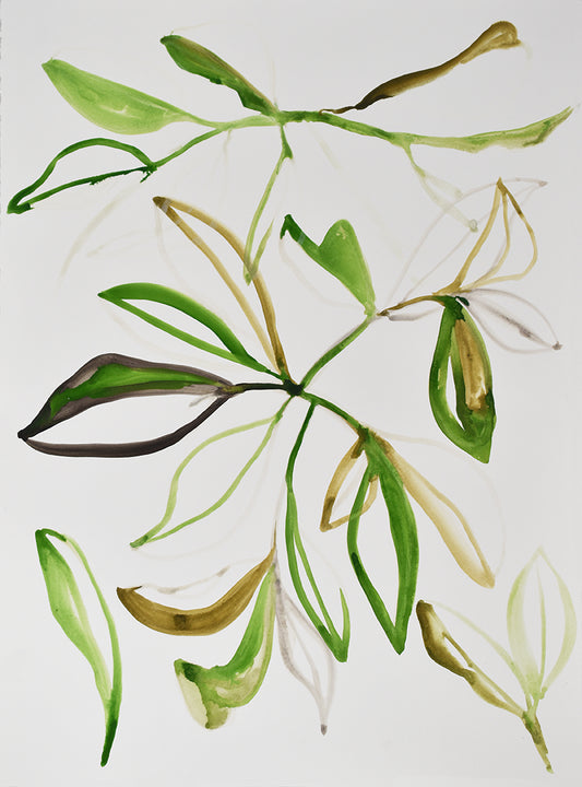 painting of leaves on a white background