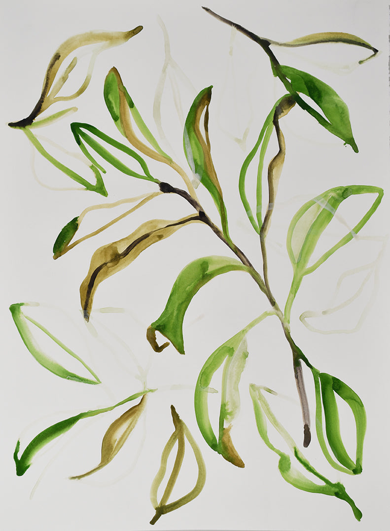 painting of green leaves on a white background