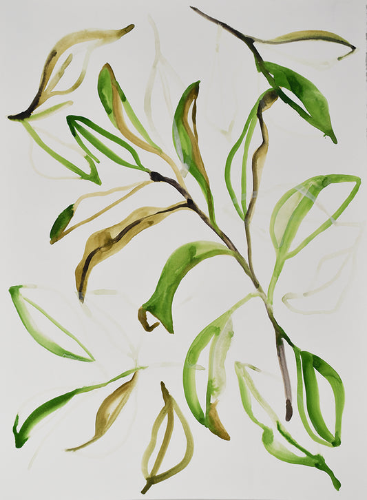 painting of green leaves on a white background
