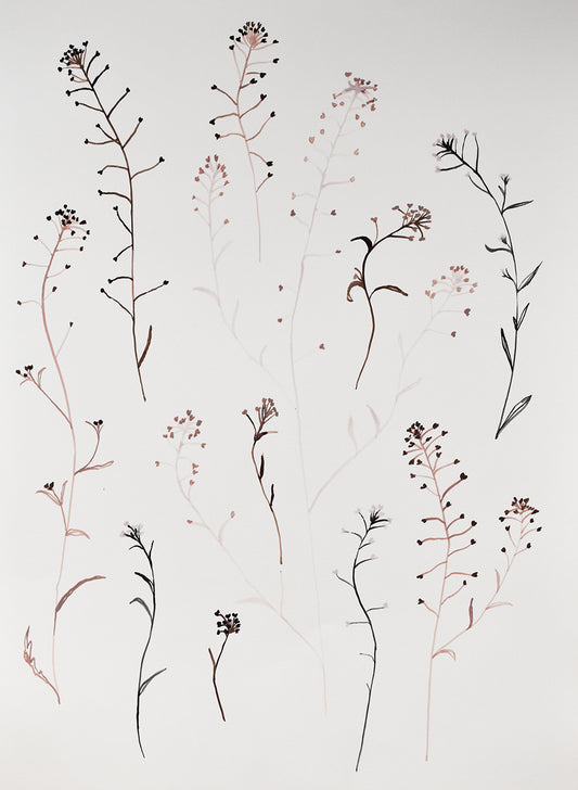 Artistic painting of thin plant stems with small flowers on a light background