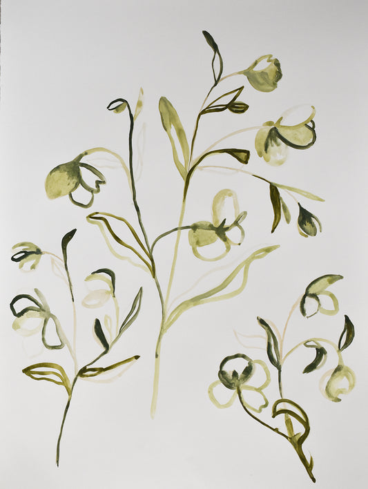 Painting of green leaves and branches on a white background