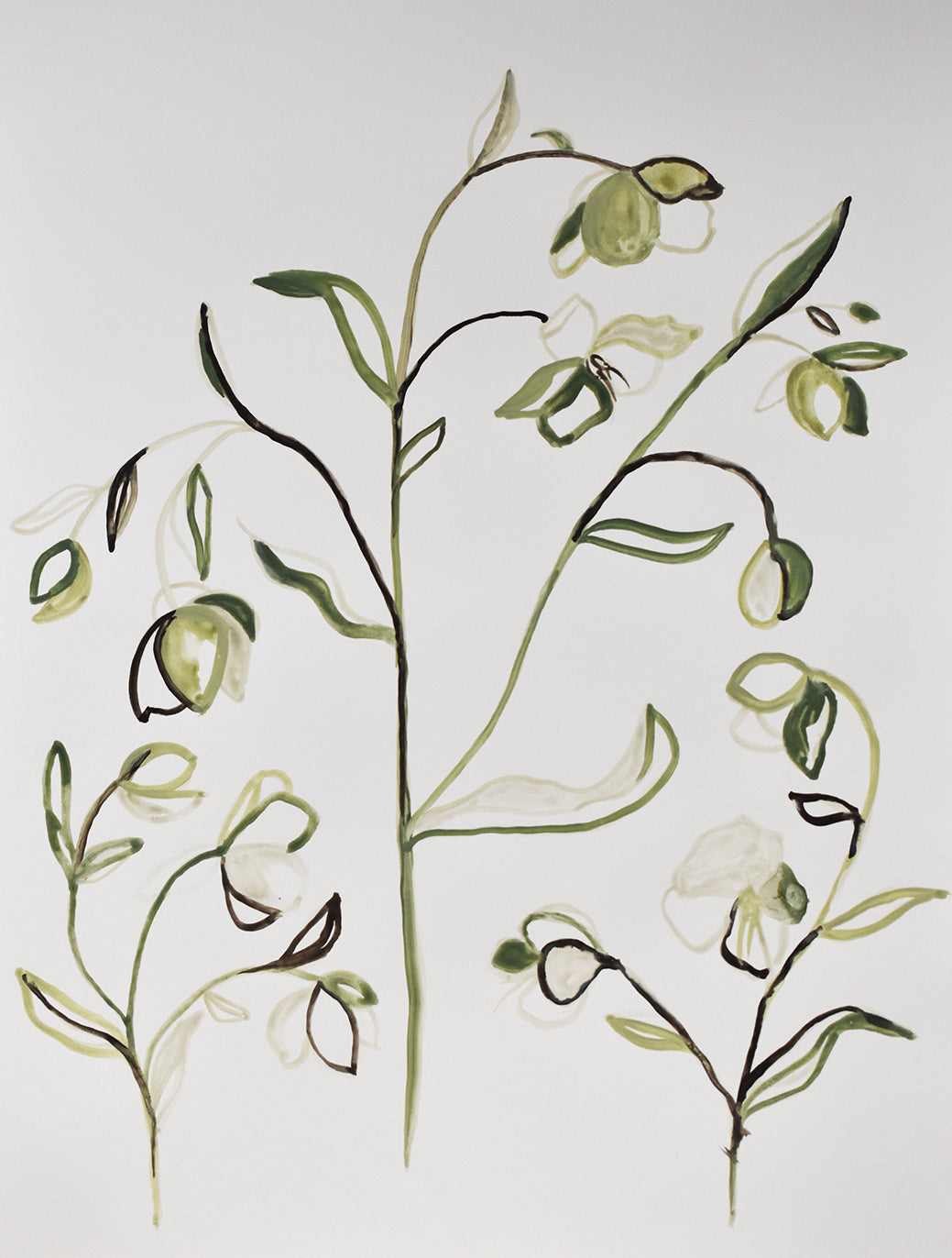 Artistic painting of green leaves and white flowers on a light gray background