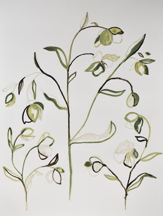 Artistic painting of green leaves and white flowers on a light gray background