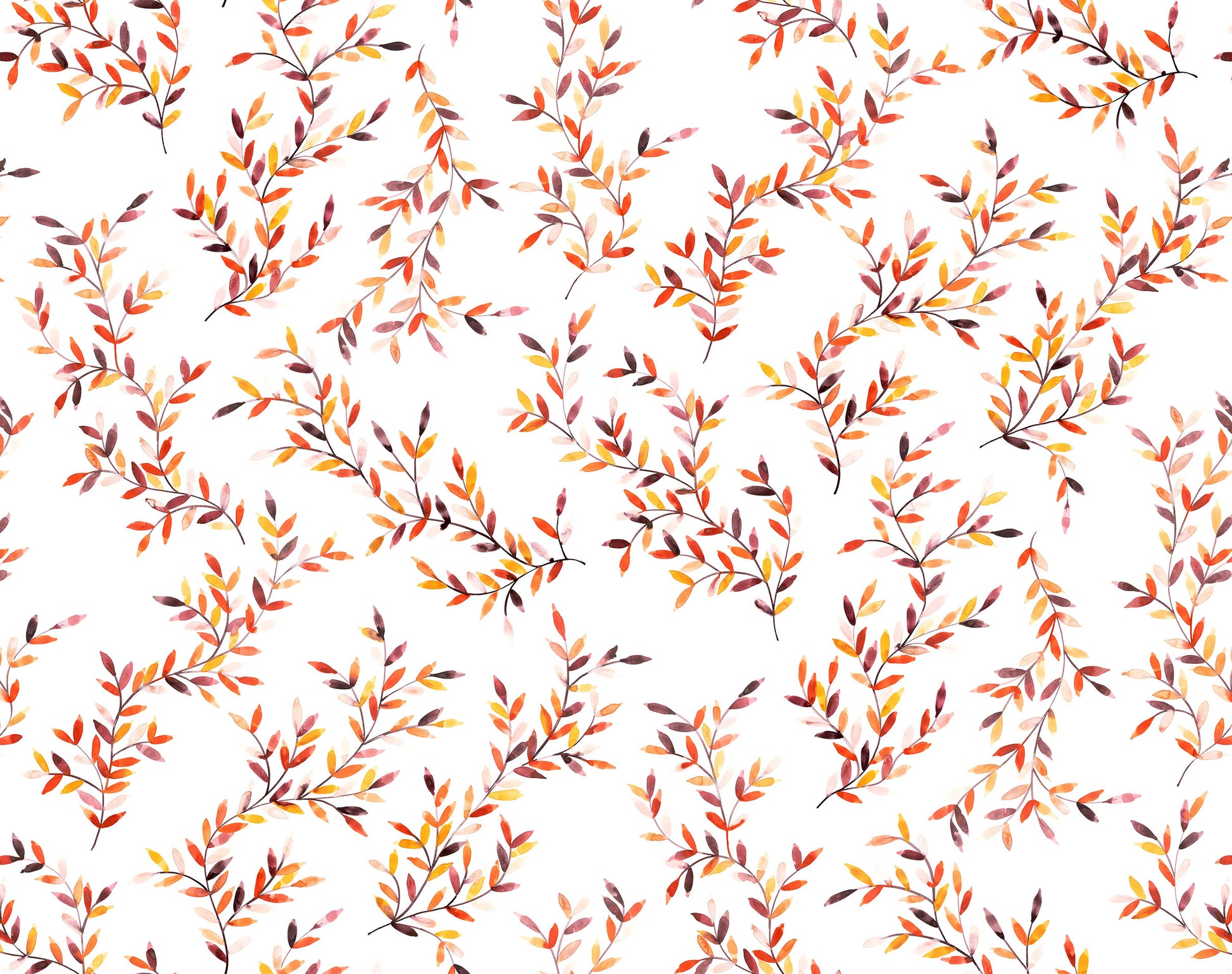 Pattern of autumn leaves on a white background