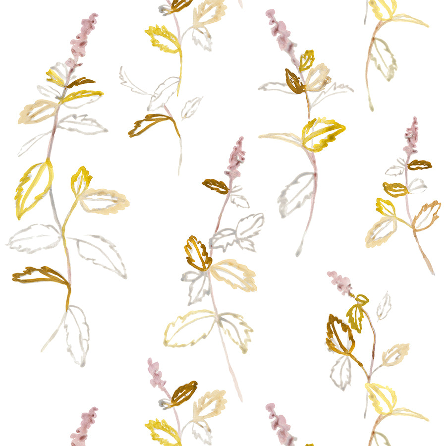 Pink and green lavender style flowers on white background