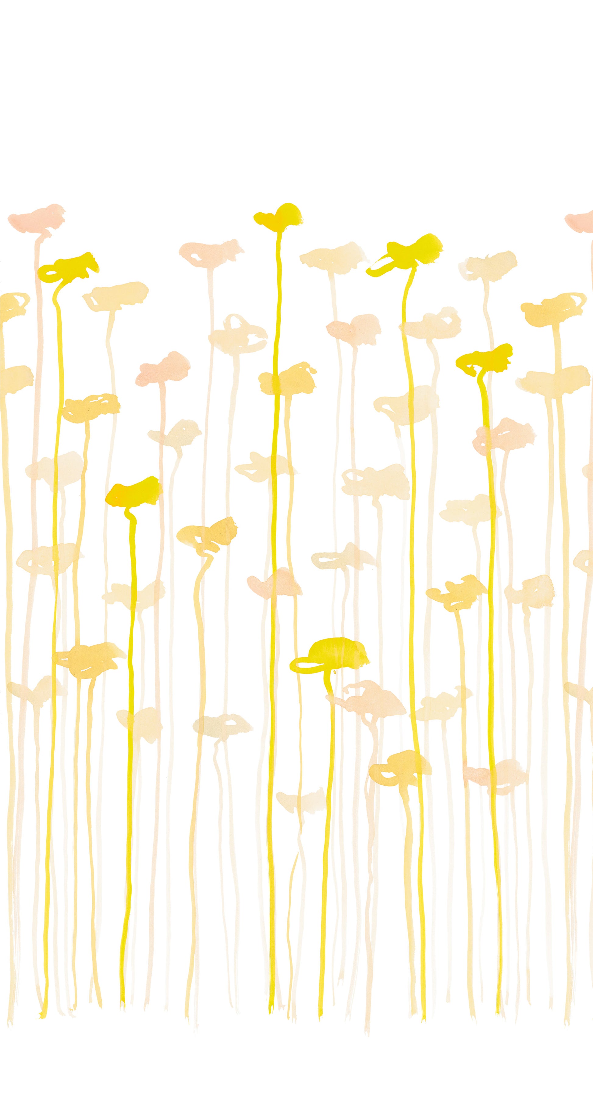 Yellow flowers and stems on a white background