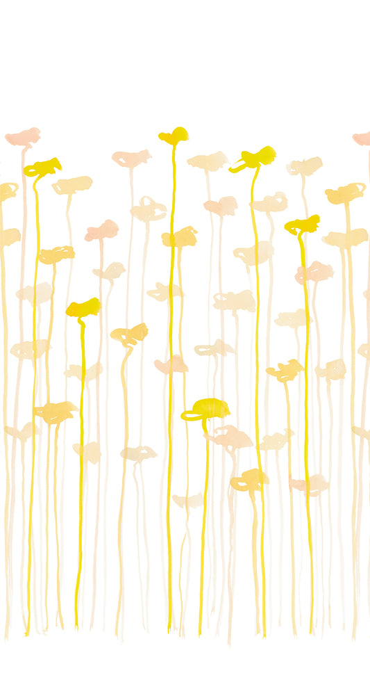 Yellow flowers and stems on a white background
