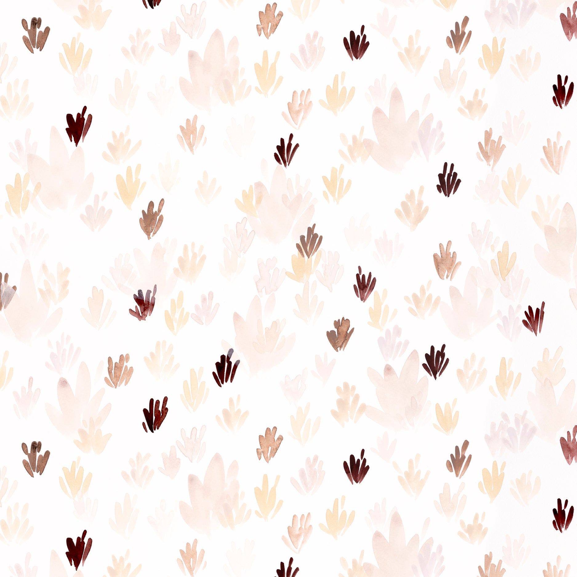 Brown flowers on white background