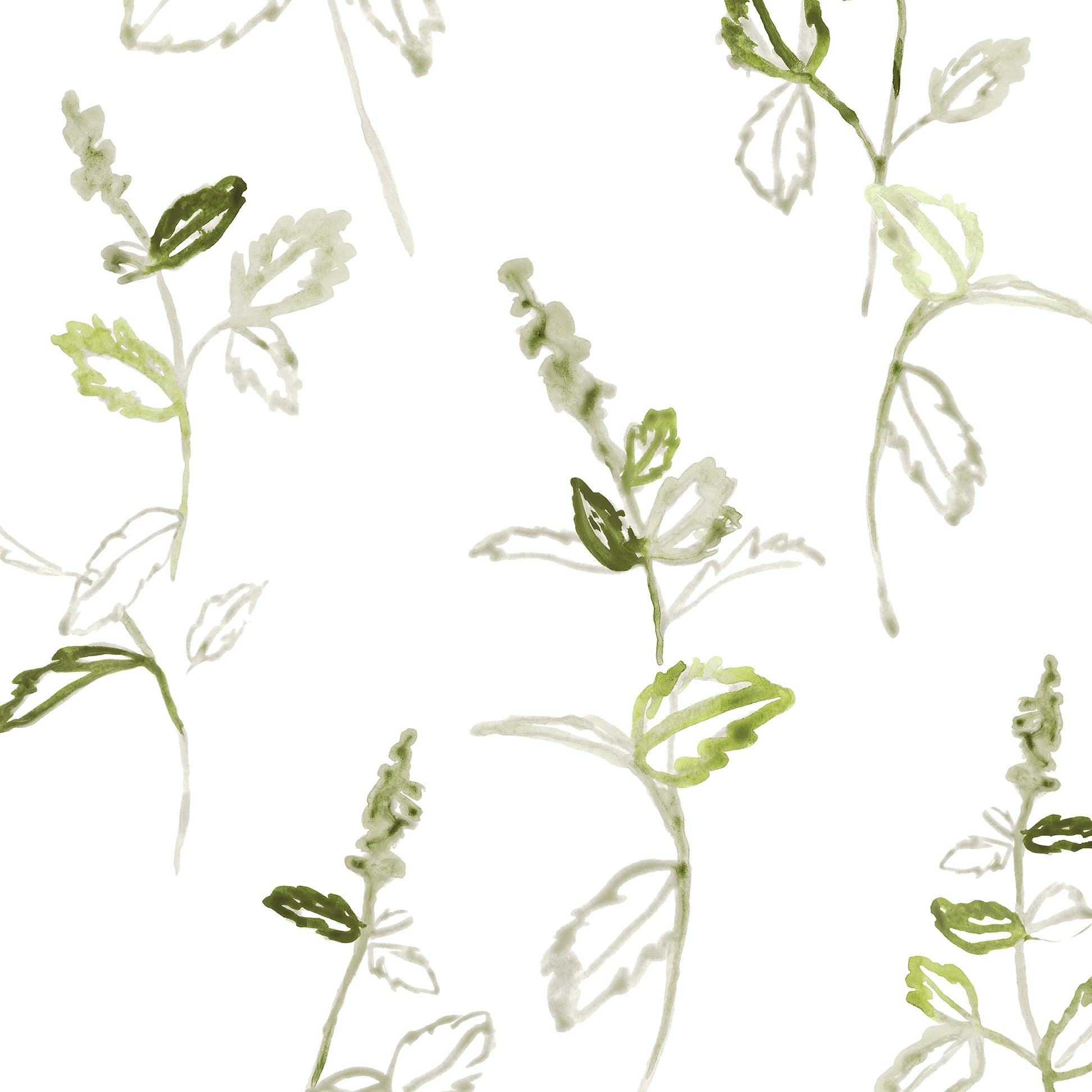 Floral pattern with green leaves and white flowers on a white background